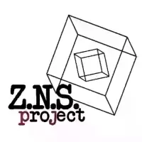 SE VUOI SAPERNE DI PIU' SU ZNS PROJECT